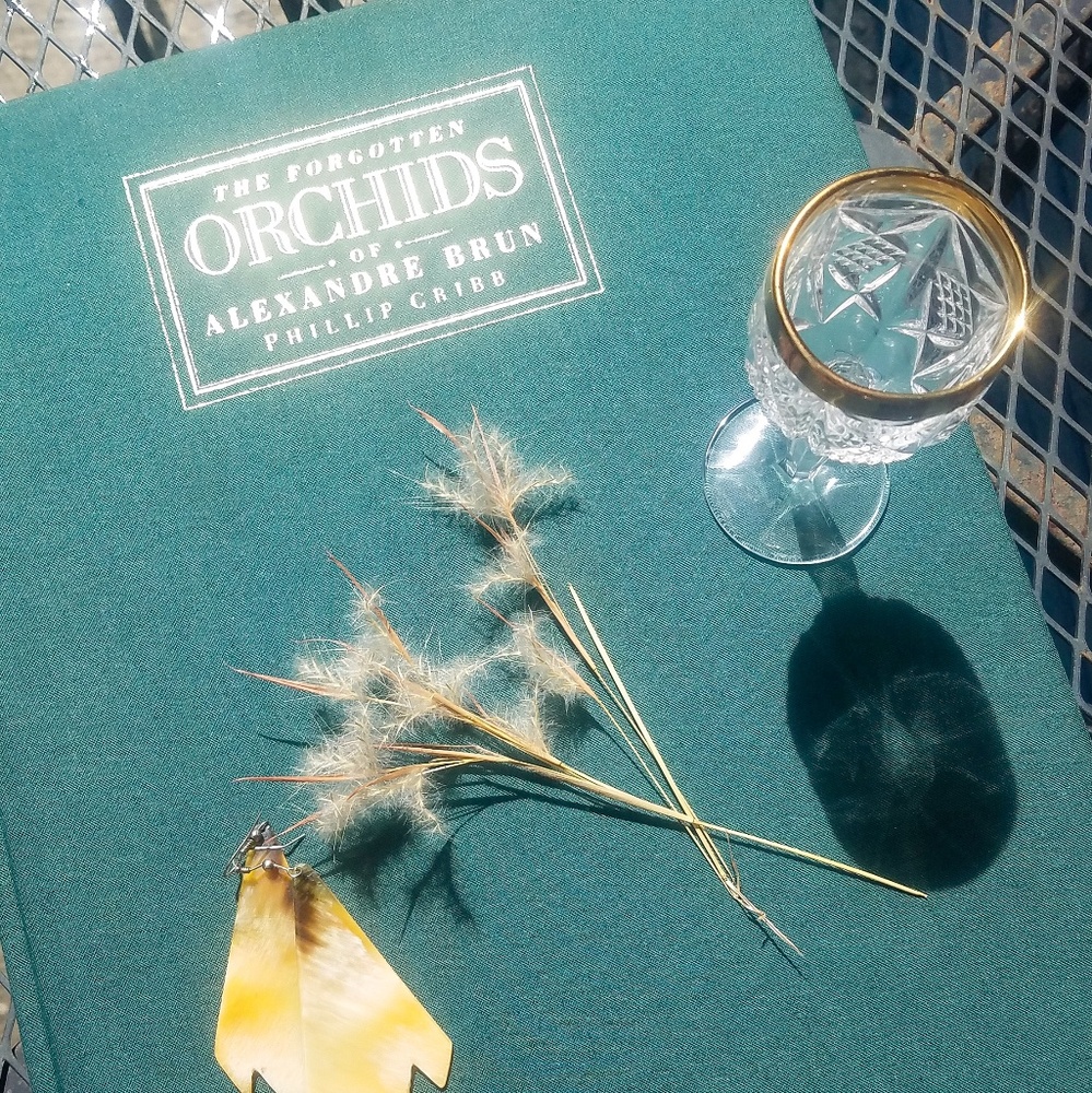 The Forgotten Orchids of Alexander Brun